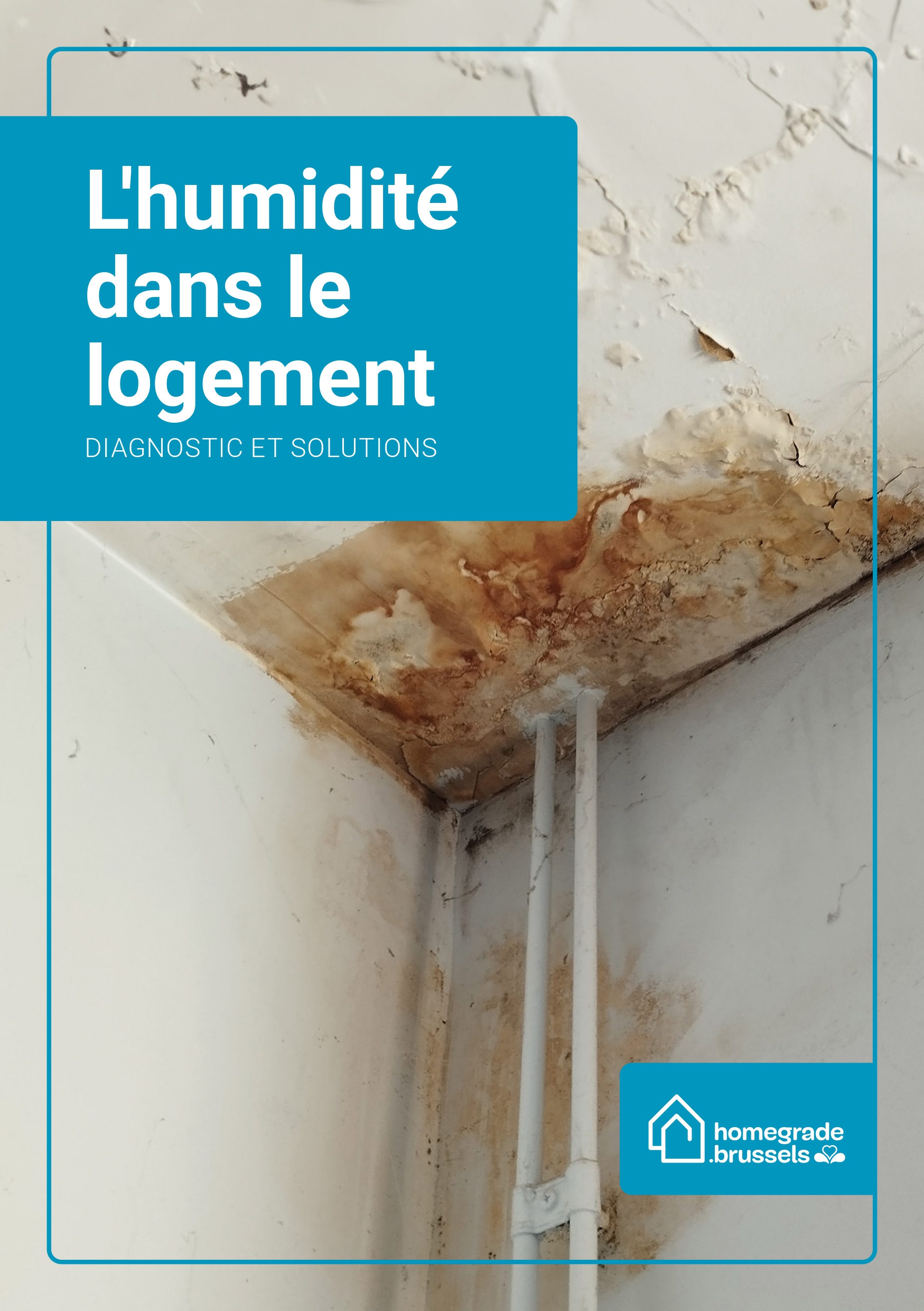 L'humidité dans le logement