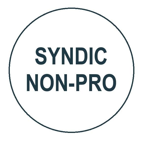 Syndic non-professionnel